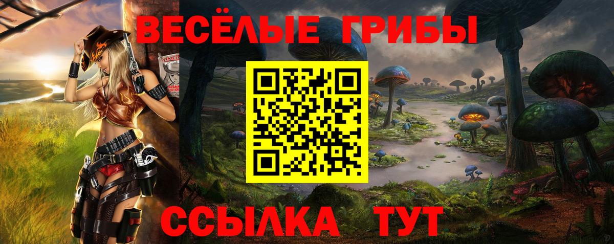 Бугуруслан  где продают наркотики  Вход с VPN  Галлюциногенные грибы Psilocybine cubensis 