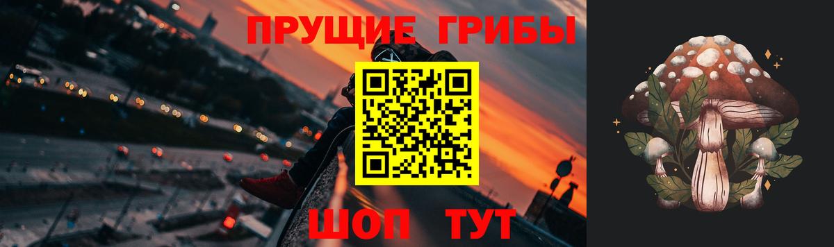Псилоцибиновые грибы прущие грибы Бугуруслан